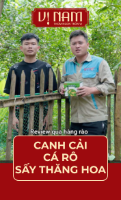 Trải nghiệm canh cải cá rô "vị nhà" trong khung cảnh làng quê