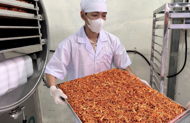 Công nghệ sấy thăng hoa: Tạo động lực cho ngành công nghiệp thực phẩm