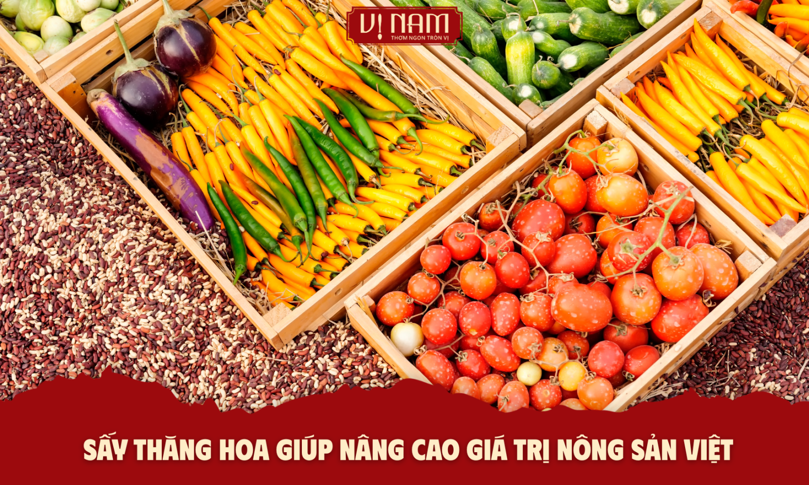 Sấy thăng hoa giúp nâng cao giá trị nông sản Việt